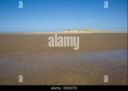 View across Holkham beach, Holkham Bay, under a deep blue sky, in  North Norfolk, England, UK Stock Photo