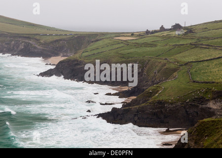 Coastline of the Dingle Peninsula, County Kerry, Ireland, Europe Stock Photo