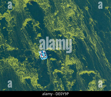 Aerial view, Lake Kemnader Stausee with algae and a pedal boat, Witten, Ruhr region, North Rhine-Westphalia Stock Photo