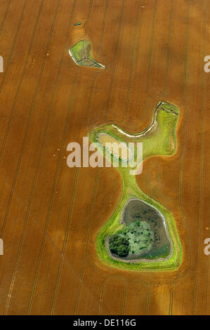 Aerial view, harvested field with ponds and meadow islands Stock Photo