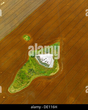 Aerial view, harvested field with a pond and meadow islands Stock Photo