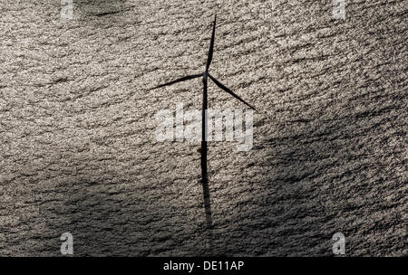 Aerial view, EnBW Baltic 1 offshore wind farm in the Baltic Sea, wind turbine with its shadow Stock Photo