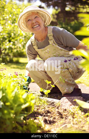 Senior woman happily working with plants in her garden - Old woman gardening in backyard
