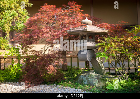 Japanese stone lantern and red-maple tree in quiet zen garden in Tokyo Japan Stock Photo