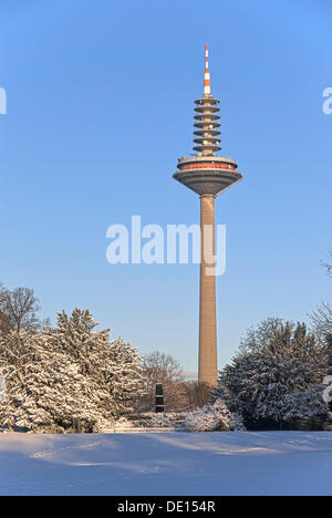 Europaturm telecommunications tower, nicknamed 'Ginnheimer Spargel', and the commemorative obelisk of the former Palais Stock Photo