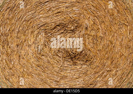 Straw bale, round bale, detail view, structure Stock Photo