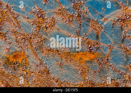 Metal surface with rust and remains of blue paint Stock Photo