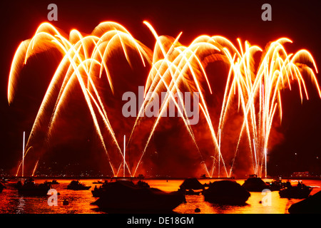 Firework in Zurich Stock Photo