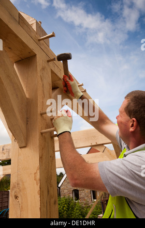 self building house, constructing green oak timber framed garage, pegging frame by hammering in round dowel pegs Stock Photo