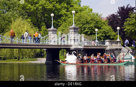 Swan Boats in Boston Common Park, Boston, Massachusetts, USA Stock Photo