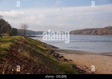 View along the Danube River, Donau-Auen Nature Park, Deutsch Altenburg, Lower Austria, Austria, Europe Stock Photo