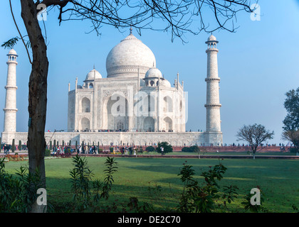 Taj Mahal mausoleum seen from under a tree against blue skies at India's Agra. Stock Photo