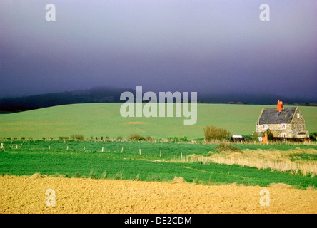 Cottage, Ventnor, Isle of Wight. Artist: Tony Evans Stock Photo