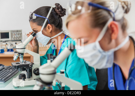 An Asian medical or scientific researcher or doctor using her microscope in a laboratory with her colleague Stock Photo