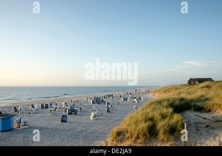 Late afternoon on the beach of Kampen, Sylt, Kampen, Sylt, North Frisia, Schleswig-Holstein, Germany Stock Photo