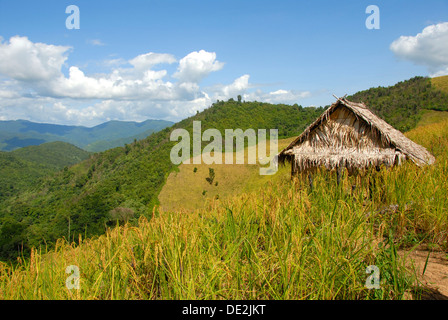 Paddy with straw hut in mountain landscape, near Saenyang Ban, District Muang Khoua, Phongsali province, Laos, Southeast Asia Stock Photo