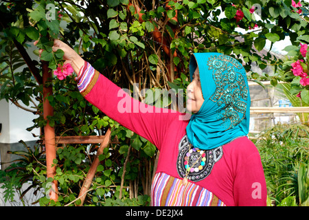 local woman looking at a brightly coloured flower on a bougainvillea plant Stock Photo