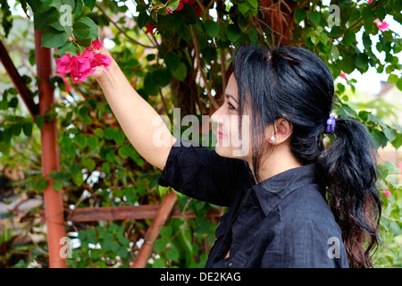 local woman looking at a brightly coloured flower on a bougainvillea plant Stock Photo