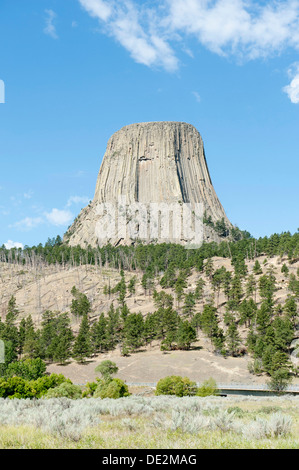 Monolith, phonolite volcanic rock, basalt, light forest of Ponderosa Pines (Pinus ponderosa), Devils Tower National Monument Stock Photo