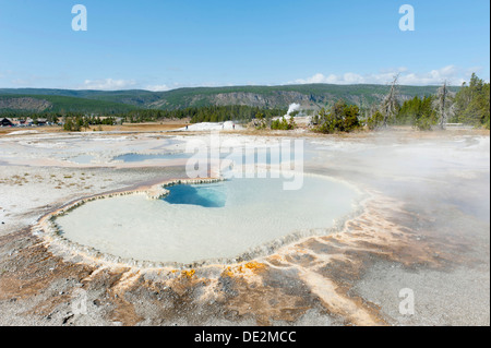 Hot spring, limestone sinter, Doublet Pool, Geyser Hill, Upper Geyser Basin, Yellowstone National Park, Wyoming Stock Photo