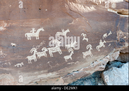 Petroglyphs of the Ute Indians, animals and riders on horseback carved in a rock, Arches National Park, Utah Stock Photo