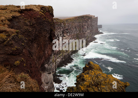 Bird rock, Latrabjarg Peninsula, West Fjords, Iceland, Europe Stock Photo