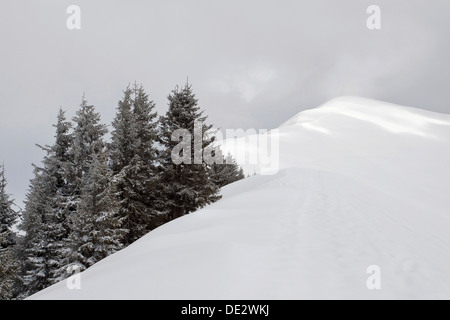 Summit ridge of Schoenalmjoch in the Karwendel Mountains, Karwendel Mountains, Hinterriß, Tyrol, Austria Stock Photo