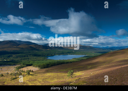Loch Morlich and Rothiemurchus from Meall a Bhuachaille, Cairngorm National Park Stock Photo