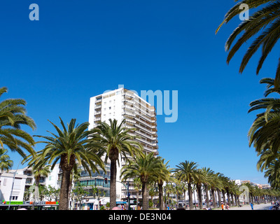 Palm tree lined street with a hotel in the background and a clear blue sky Stock Photo