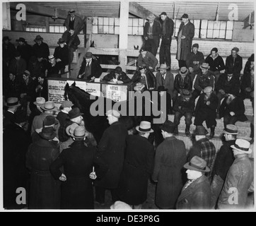 Lancaster County, Pennsylvania. Horse sales are still popular institutions in Lancaster County. Th . . . 521119 Stock Photo