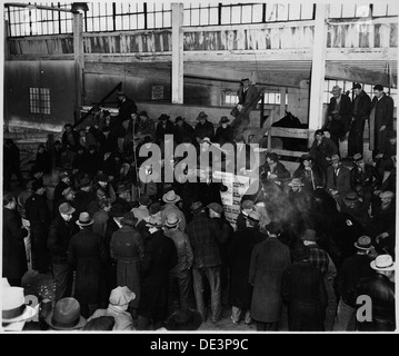 Lancaster County, Pennsylvania. Horse sales are still popular institutions in Lancaster County. Th . . . 521121 Stock Photo