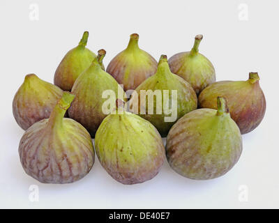storm deltager Undskyld mig Fresh fig fruit. Ficus carica L. Moraceae. Common Names: Fig (English),  Higo(Spanish), Figue (French), Feige (German), Fico Stock Photo - Alamy