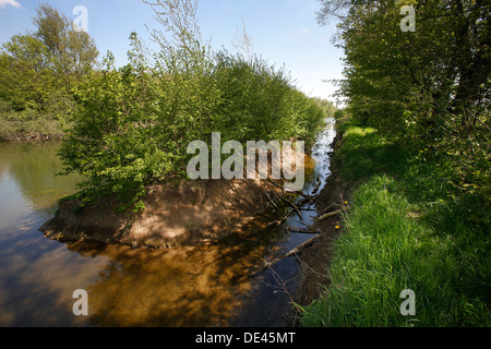 Hamm, Germany, landscape along the Lippeauenpfads Stock Photo