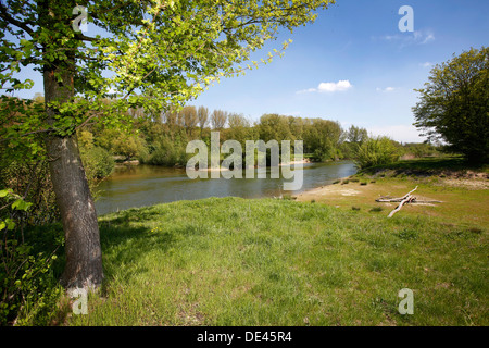 Hamm, Germany, landscape along the Lippeauenpfads Stock Photo