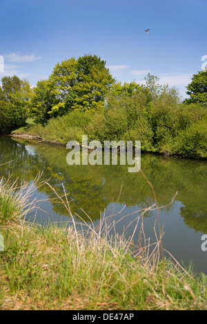 Hamm, Germany, landscape along the Lippeauenpfads Stock Photo