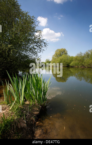 Hamm, Germany, landscape along the Lippeauenpfads Stock Photo