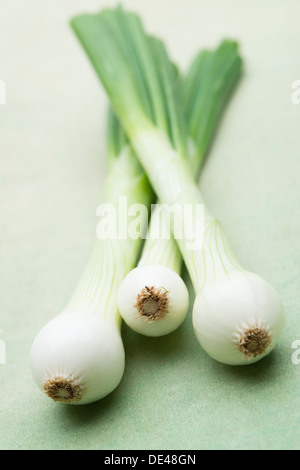 Three fresh salad onions on black surface Stock Photo - Alamy
