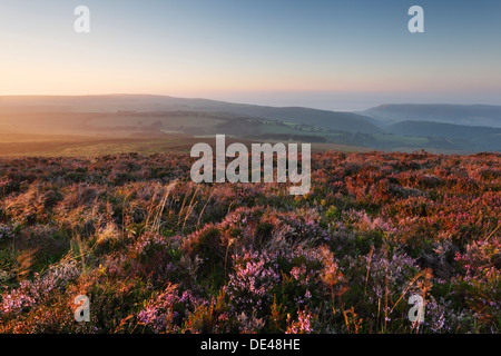 View from Dunkery Beacon towards Porlock Bay at Sunset. Exmoor National Park. Somerset. England. UK. Stock Photo