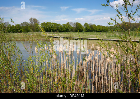 Hamm, Germany, landscape along the Lippeauenpfads Stock Photo