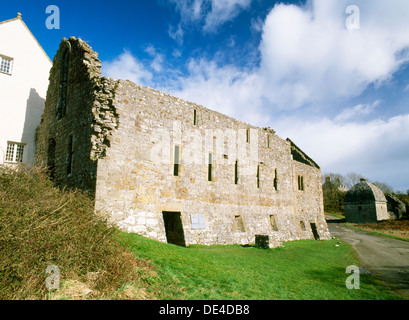 Penmon Priory, Anglesey: C13th S range (canons' dining room, cellars below, dormitory above) with C16th warming house at end, dovecote of c 1600 rear. Stock Photo