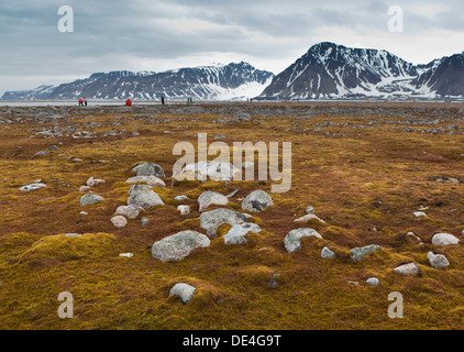 Moss covered seashore, Smeerenburg, Spitsbergen Island, Svalbard, Norway Stock Photo