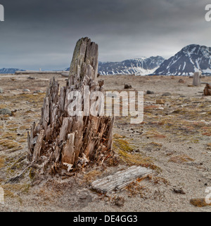 Wooden remains, Smeerenburg, Spitsbergen Island, Svalbard, Norway Stock Photo