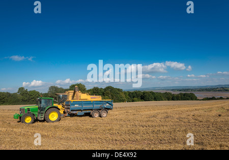 Combine harvester pouring harvested grain into trailer towed by tractor in field on bank of River Severn, Gloucestershire,UK Stock Photo