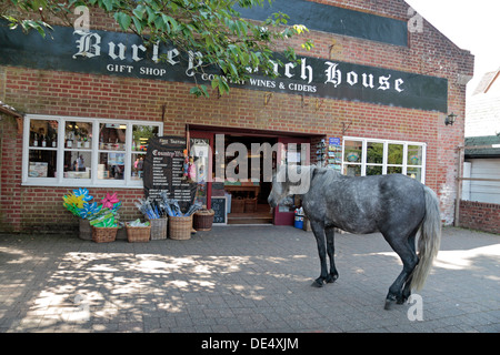 A New Forest pony loiters outside a shop in the village centre of Burley, New Forest, Hampshire, UK. Stock Photo