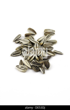 Sunflower seeds in the shell Stock Photo