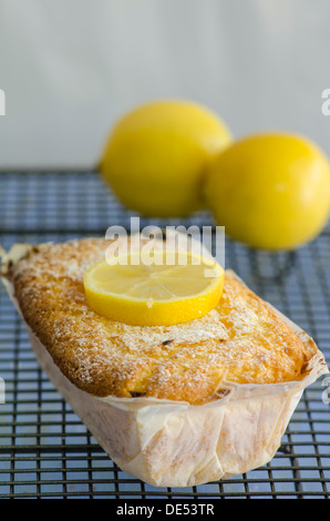 Delicious home baked lemon cake wrapped in oven paper and topped with sliced lemon cooling on a wire grid in the kitchen Stock Photo