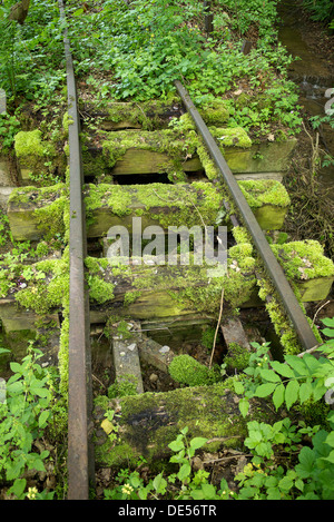 Old narrow-gauge railway tracks overgrown with moss and plants Stock Photo