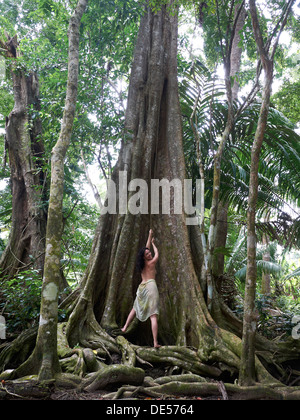 Woman, 45, pulling on a liana of a Kapok (Ceiba pentandra), rainforest, Punta Uva, Puerto Viejo de Talamanca, Costa Rica Stock Photo