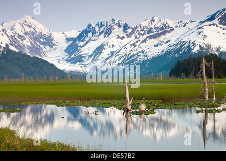 Mountains, Turnagain arm, Kenai Peninsula, Alaska, U.S.A. Stock Photo