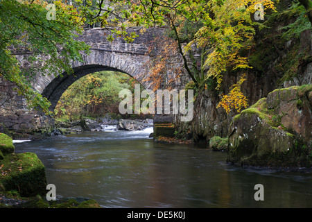 Autumn colours on the river at a bridge over the Aber Glaslyn near Beddgelert, Snowdonia North Wales Stock Photo
